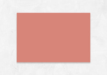 Vinyl Backdrops Vinyl Photography Backdrops Dusty Peach Solid Vinyl Photography Backdrops