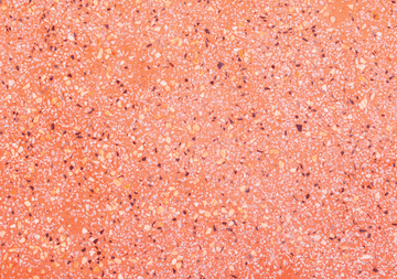 Vinyl Backdrops Vinyl Photography Backdrops Peach Terrazzo Vinyl Photography Backdrops