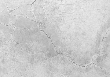 Hard Cracked Concrete Vinyl Photography Backdrops - Vinyl Backdrops