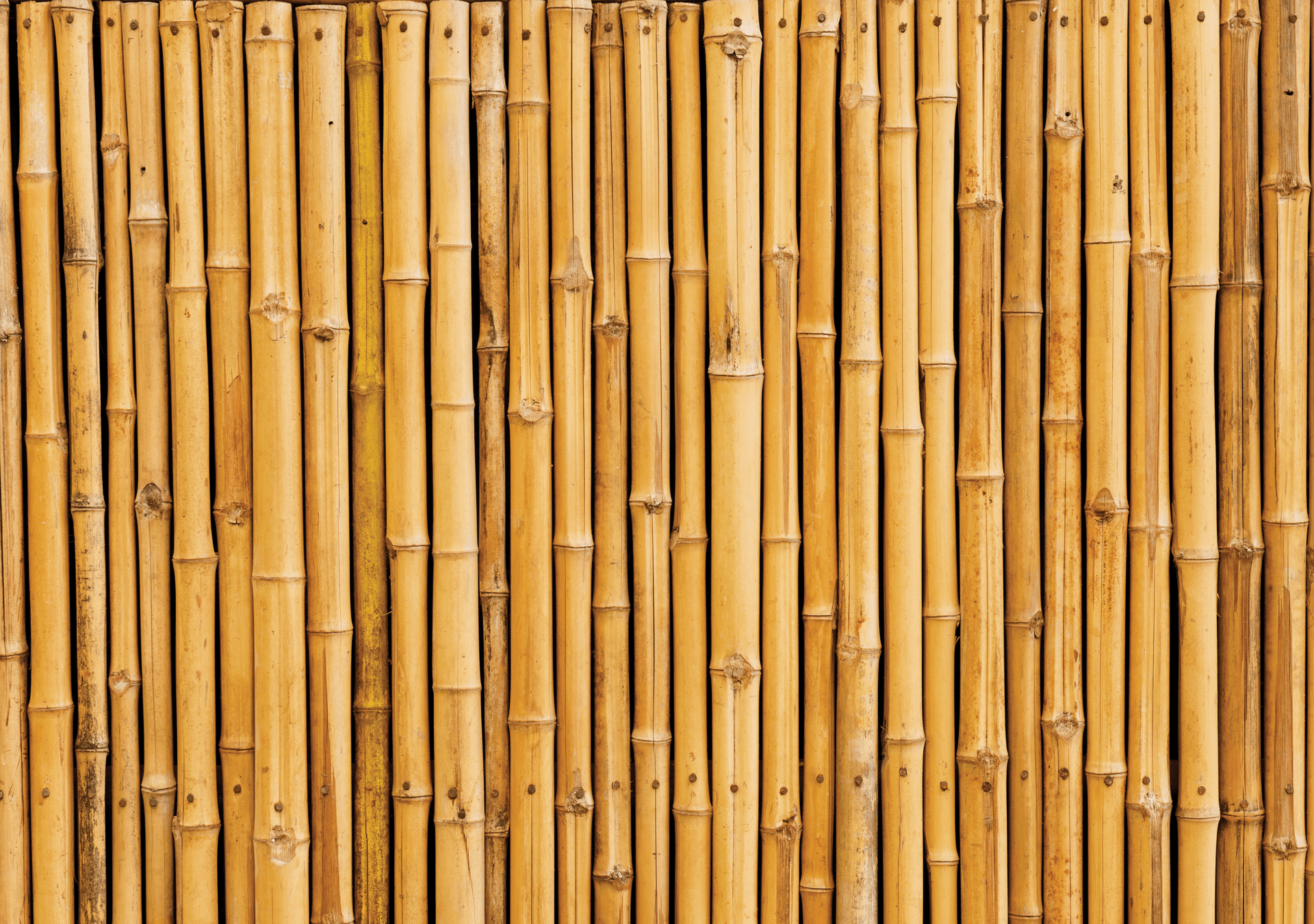 Vinyl Backdrops Vinyl Photography Backdrops Bamboo Timber Panelling Vinyl Photography Backdrops