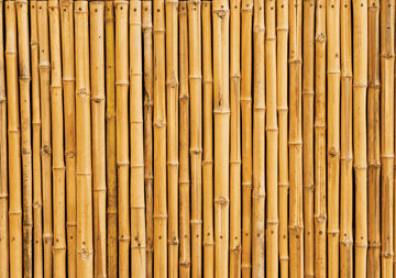 Bamboo Timber Panelling Vinyl Photography Backdrops