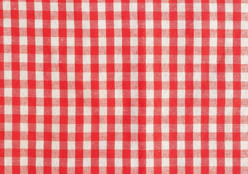 Red & White Picnic Rug Material Vinyl Photography Backdrops